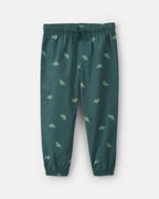Conjunto 2 piezas, sudadera con capucha y pantalón, dinosaurio - Carter's