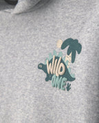 Conjunto 2 piezas, sudadera con capucha y pantalón, dinosaurio - Carter's
