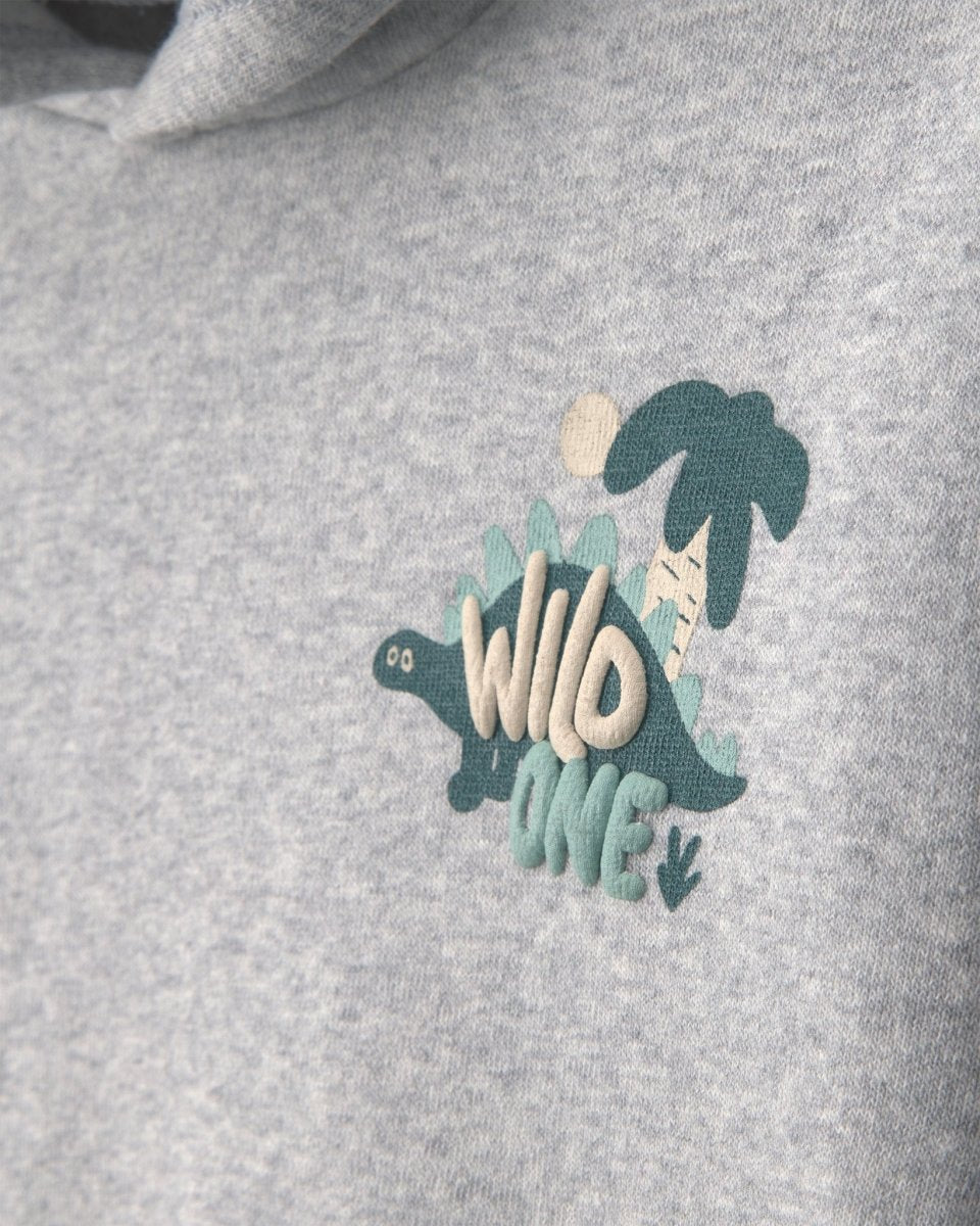 Conjunto 2 piezas, sudadera de dinosaurio con capucha - Carter's