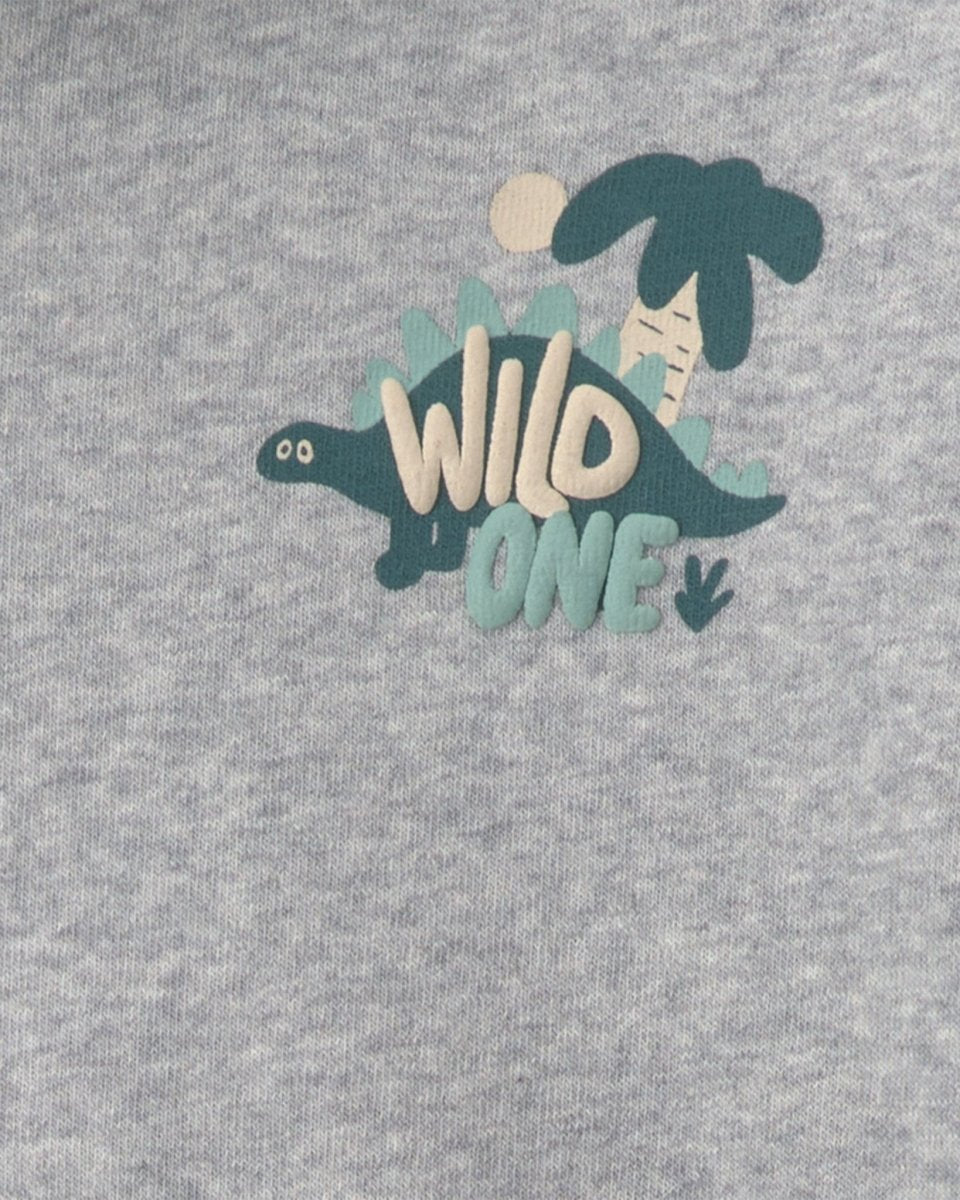 Conjunto 2 piezas, sudadera de dinosaurio con capucha - Carter's