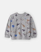Sudadera de rizo francés «Game Day» con manga ranglan, gris - Carter's